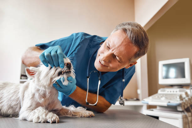 Best Broken Tooth Emergency  in Lexington, NC
